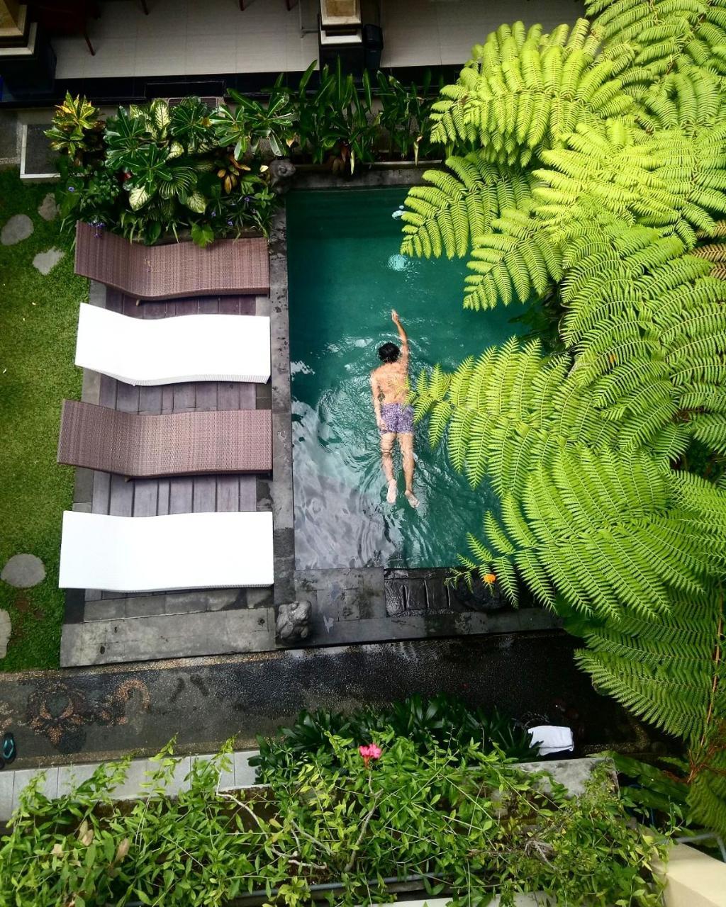 Donald Home Stay Ubud Eksteriør bilde